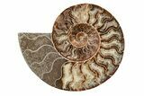 8.2" Agatized, Cut & Polished Ammonite Fossil - Madagasar - #191368-3